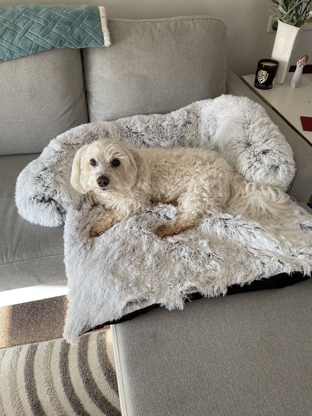 Calming Sofa Dog Bed x Small