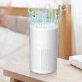 LA Emergency Air Shield Medical-Grade Air Purifier